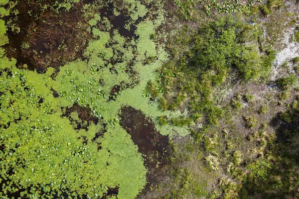 $54,990 | Lot 96 Sturgeon Road, Lawrenceville, VA 23868