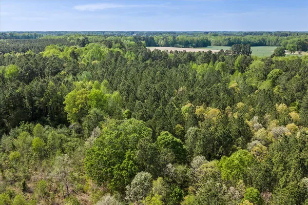 $54,990 | Lot 96 Sturgeon Road, Lawrenceville, VA 23868