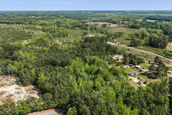 $54,990 | Lot 96 Sturgeon Road, Lawrenceville, VA 23868