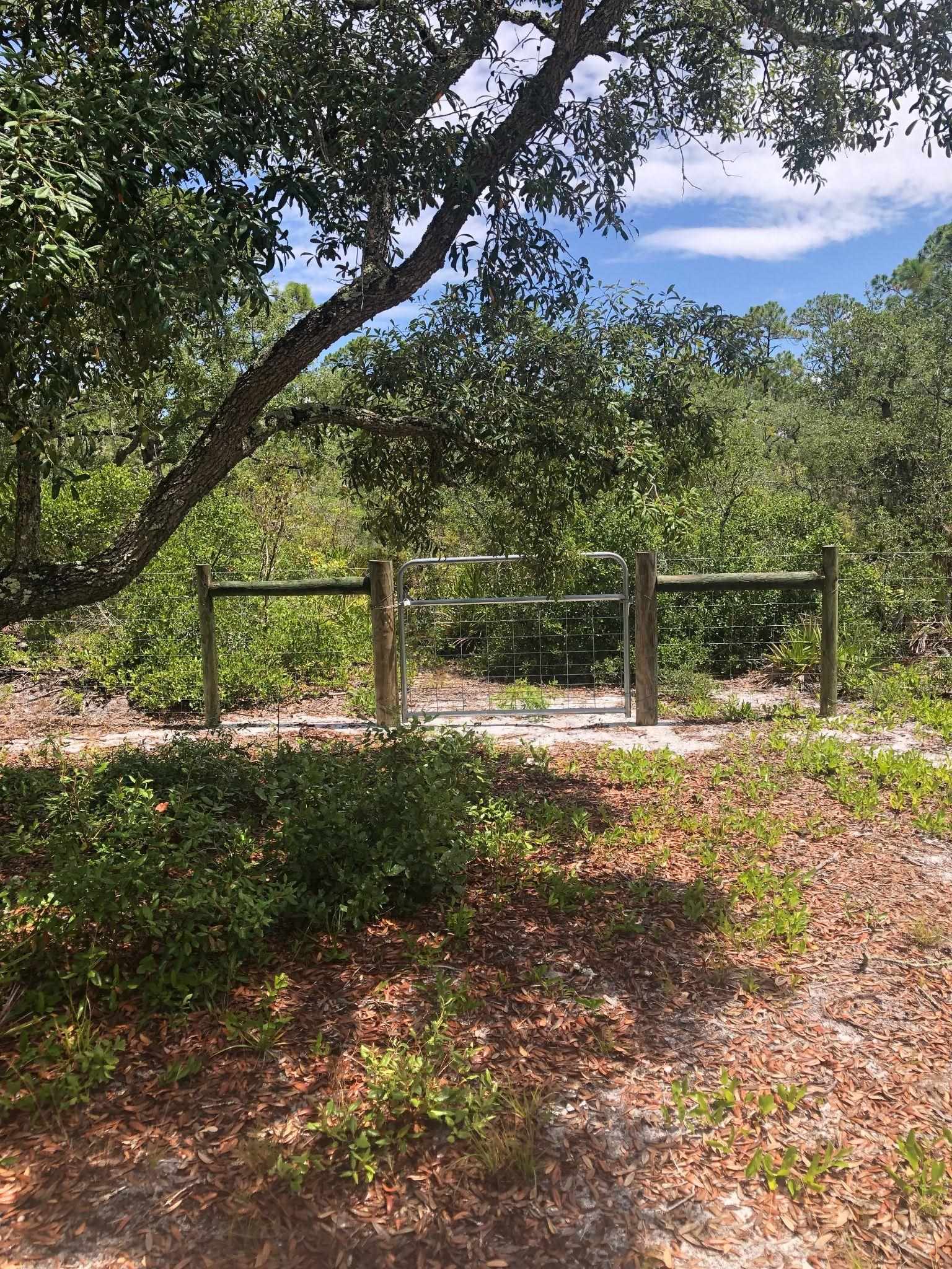 Xxx Mashes Sands Road Ochlockonee Bay, FL 32346 - Photo 5 of 11