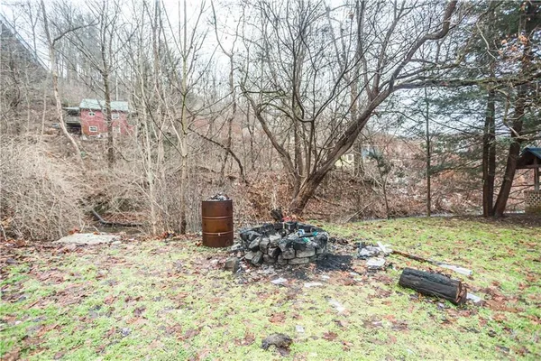 a view of a backyard with large trees