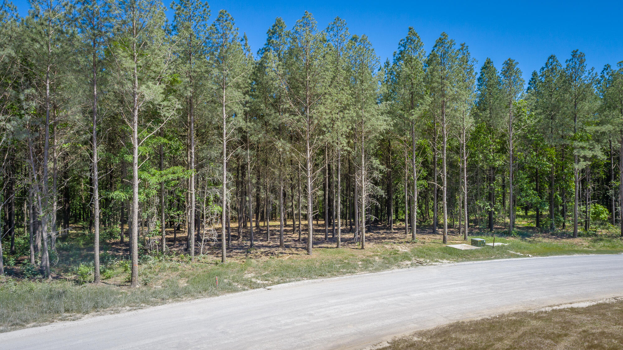 0 Split Rail Way, Unit 1349 Guild, TN 37340 - Photo 30 of 108 0 Split Rail Way - Lot 1349 HD-3