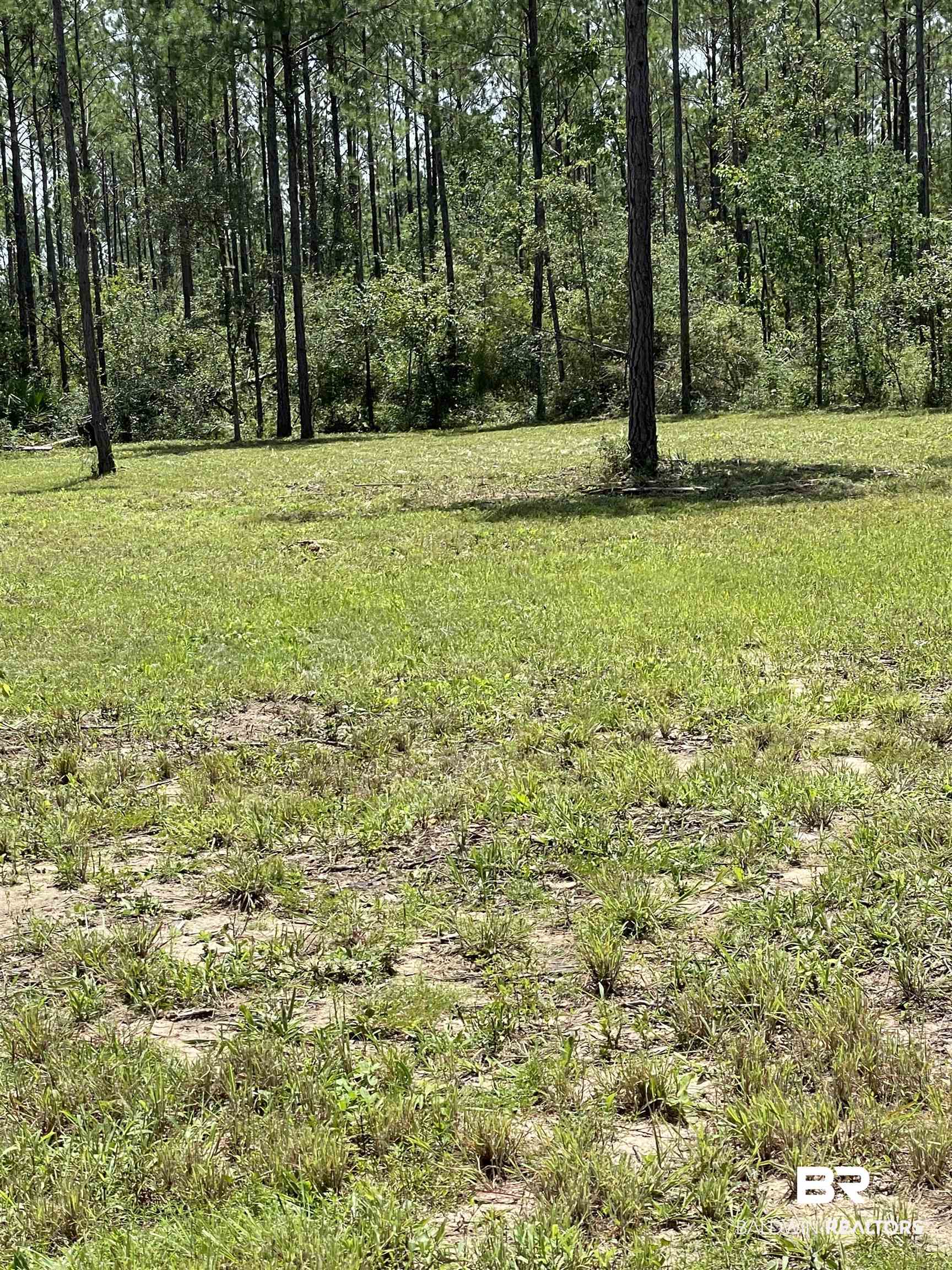 18676 Greek Cemetery Road Robertsdale, AL 36567 - Photo 6 of 12