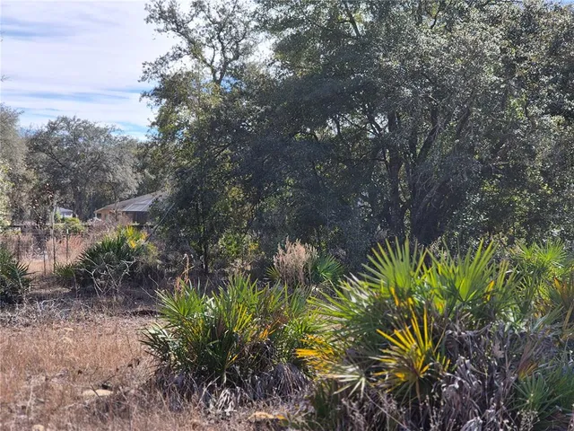 a plant that is in a garden