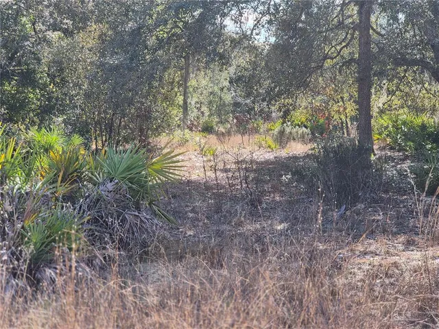 a view of bushes and trees