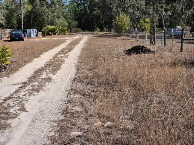 a view of street with large trees