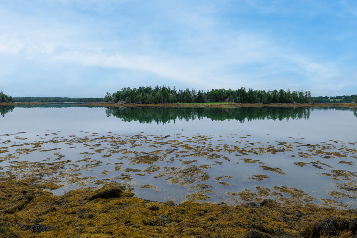 Lot 27 Coffins Neck Road Lubec, ME 04652 - Photo 21 of 27 10-Lot 27 Coffins Neck Road LoRes-DTP