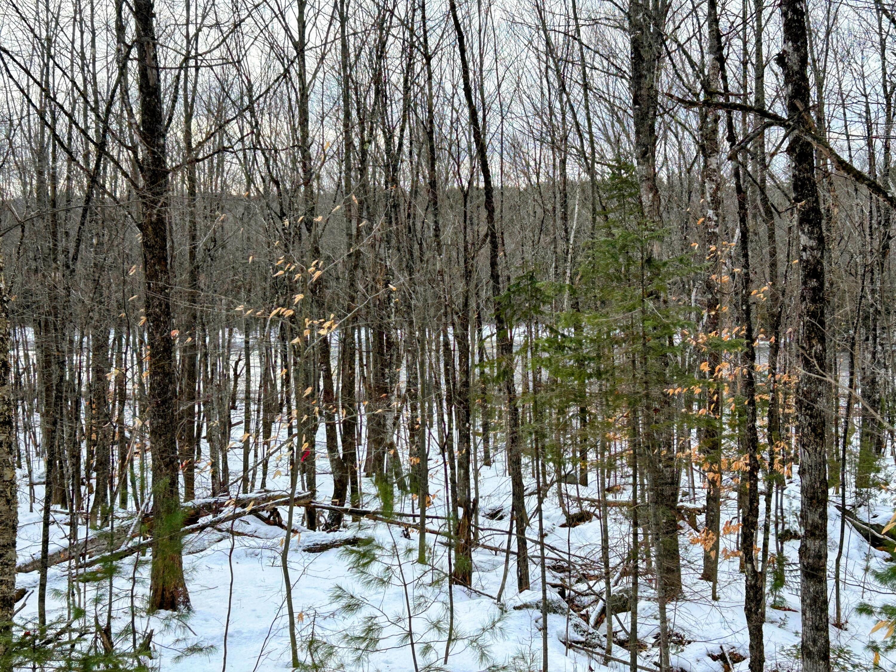Lot B Long Falls Dam Road New Portland, ME 04961 - Photo 10 of 20 IMG_6923