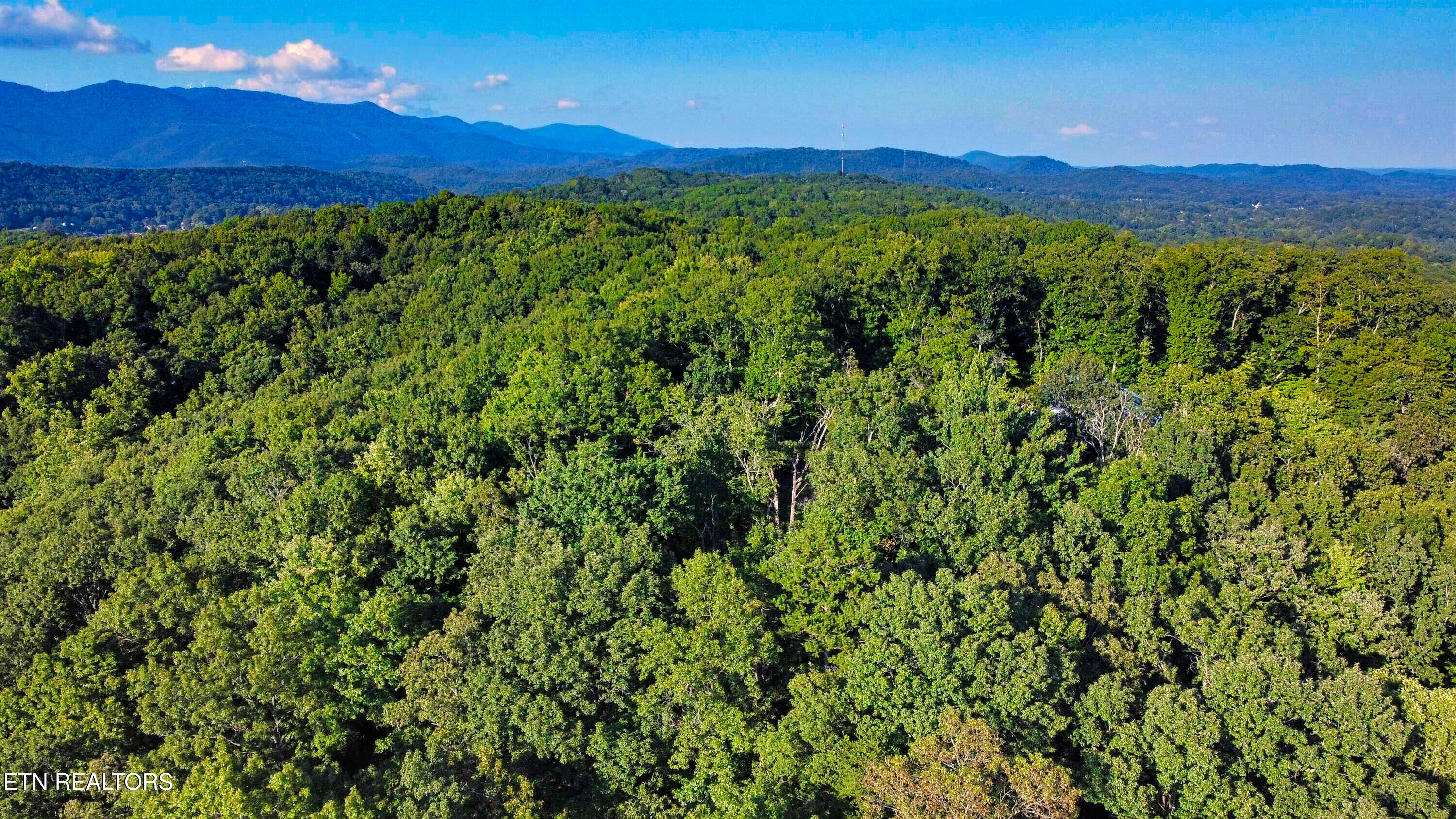 243 Shady Road Oliver Springs, TN 37840 - Photo 15 of 31 20210908184812592693000000-o