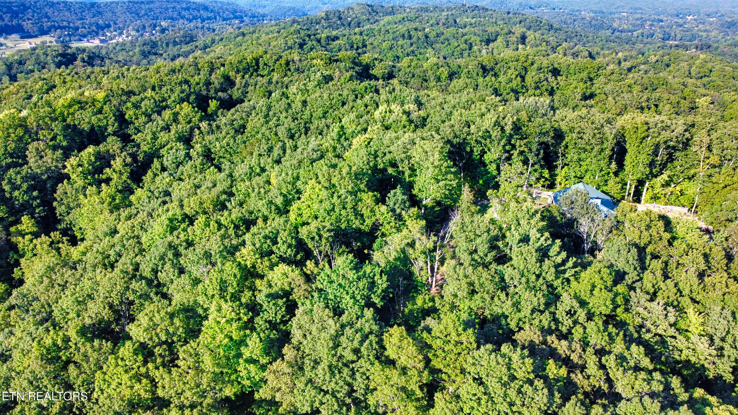 243 Shady Road Oliver Springs, TN 37840 - Photo 16 of 31 20210908184816406145000000-o