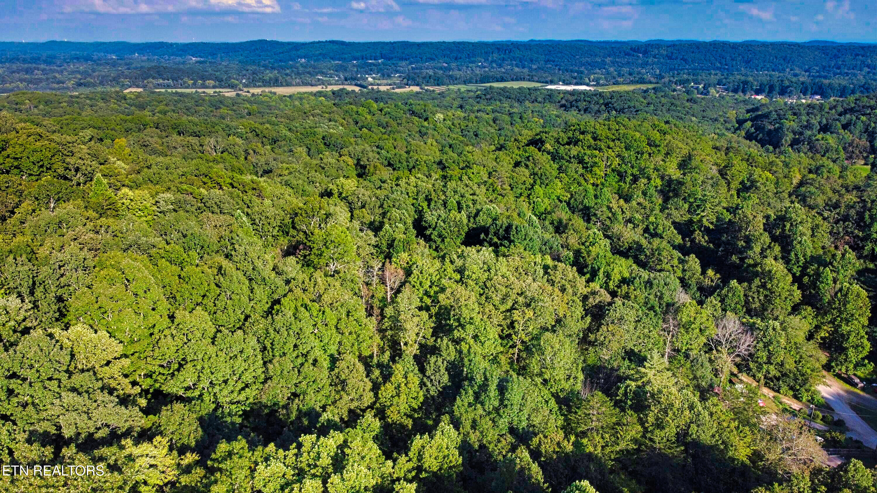 243 Shady Road Oliver Springs, TN 37840 - Photo 18 of 31 20210908184824687540000000-o