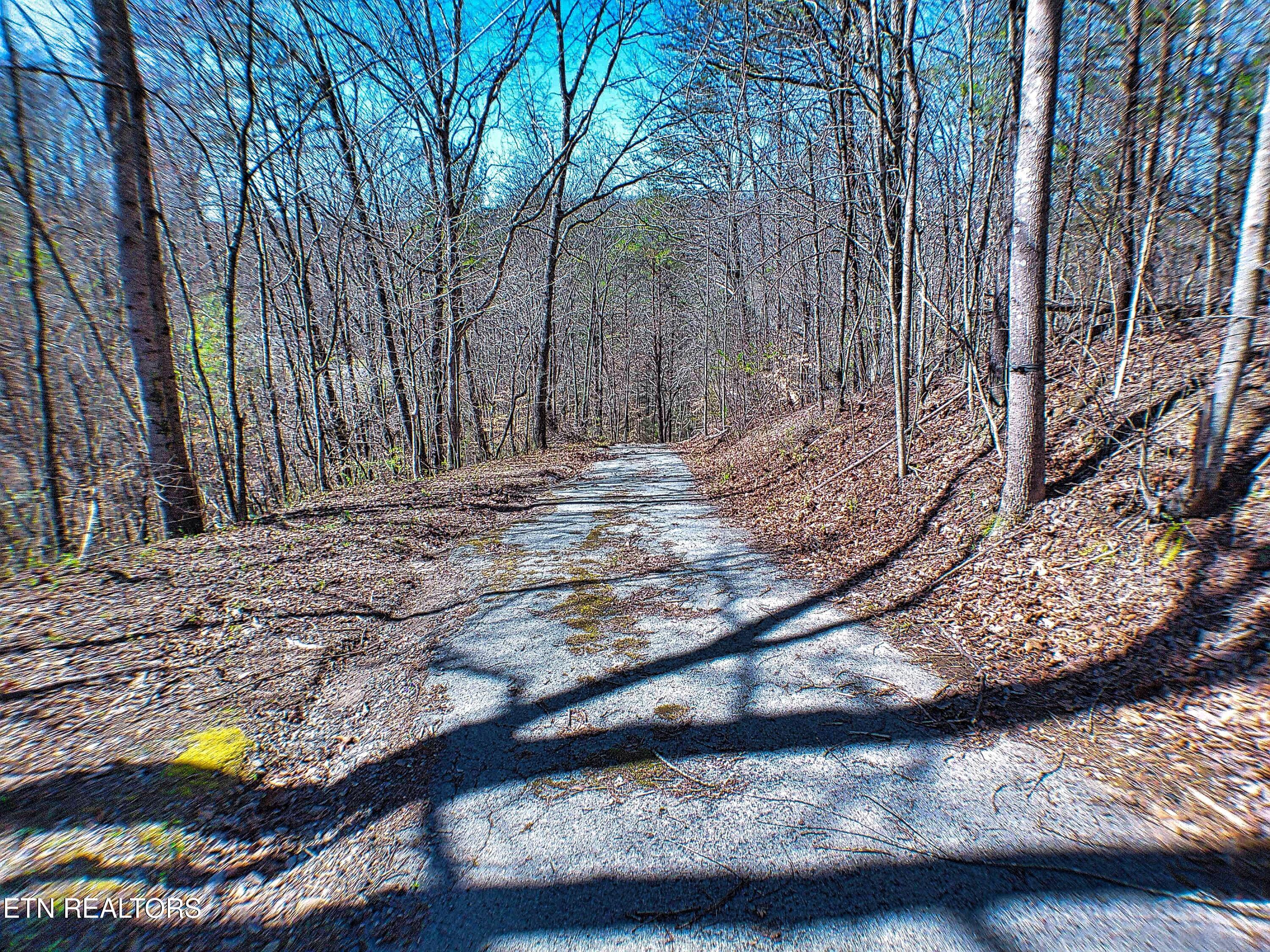 243 Shady Road Oliver Springs, TN 37840 - Photo 19 of 31 ANMP0086