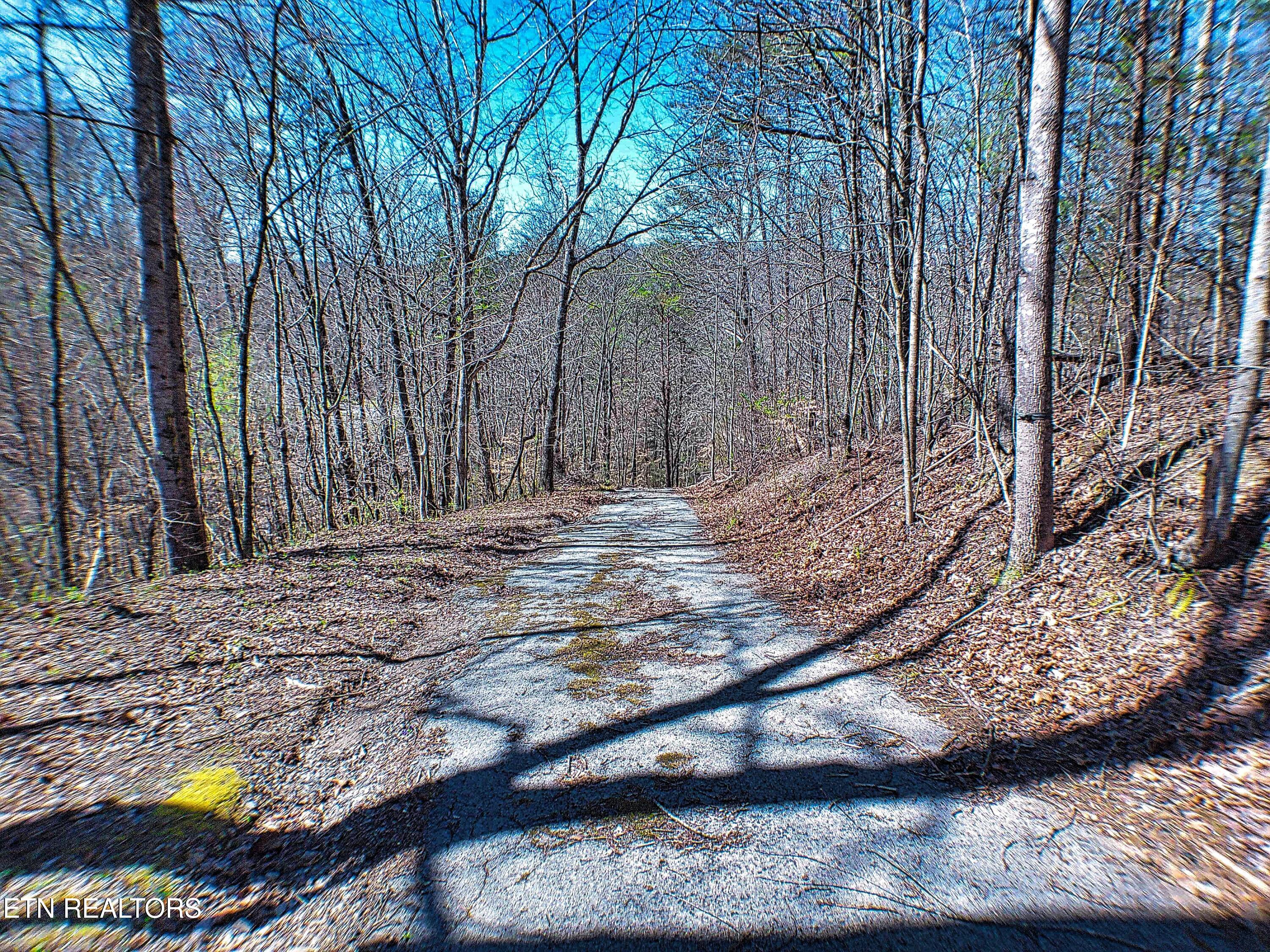 243 Shady Road Oliver Springs, TN 37840 - Photo 20 of 31 ANMP0087
