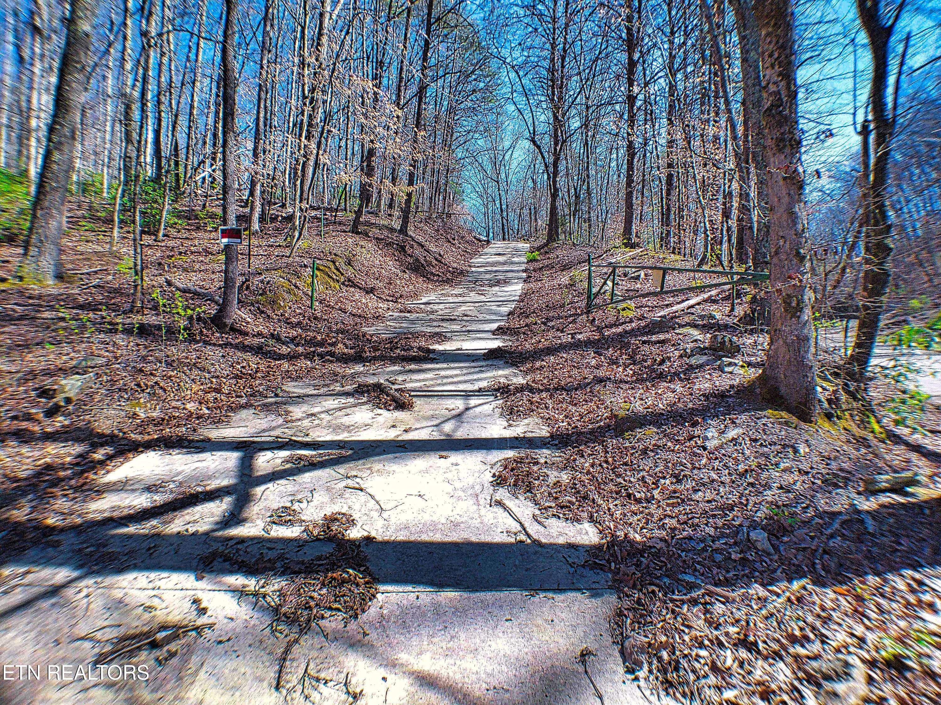 243 Shady Road Oliver Springs, TN 37840 - Photo 22 of 31 ANMP0091