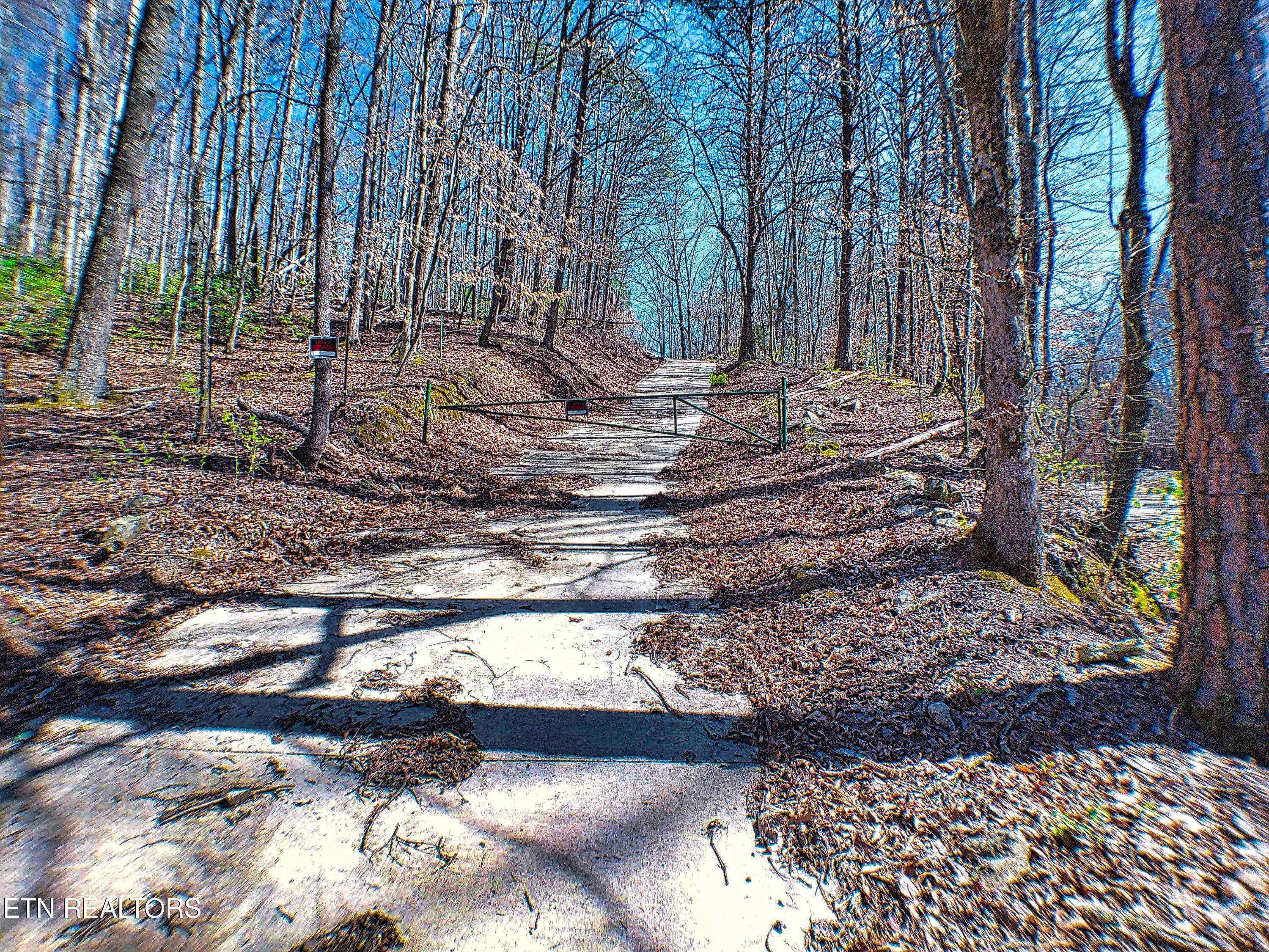 243 Shady Road Oliver Springs, TN 37840 - Photo 23 of 31 ANMP0092