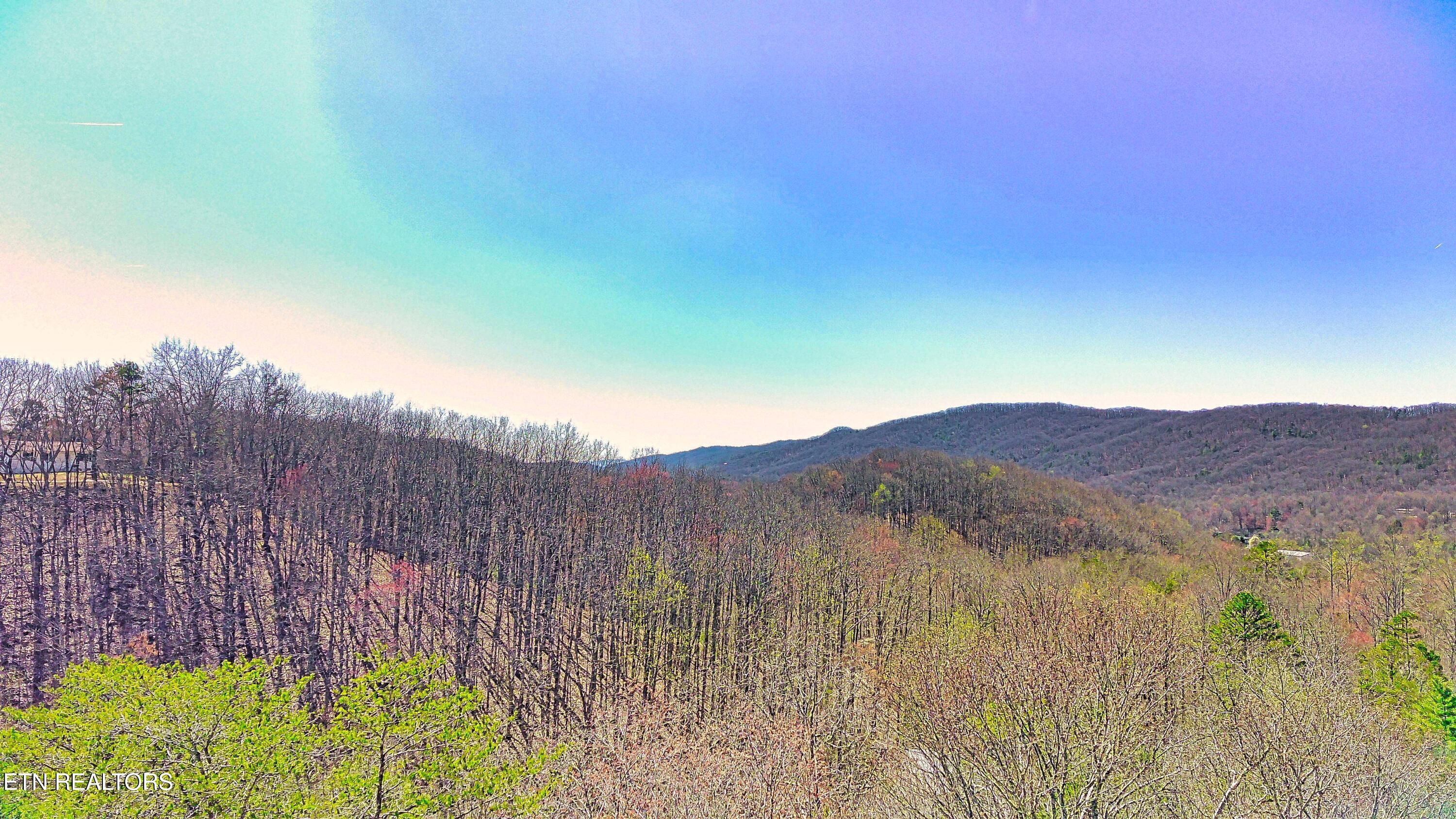 243 Shady Road Oliver Springs, TN 37840 - Photo 25 of 31 FIMI0069