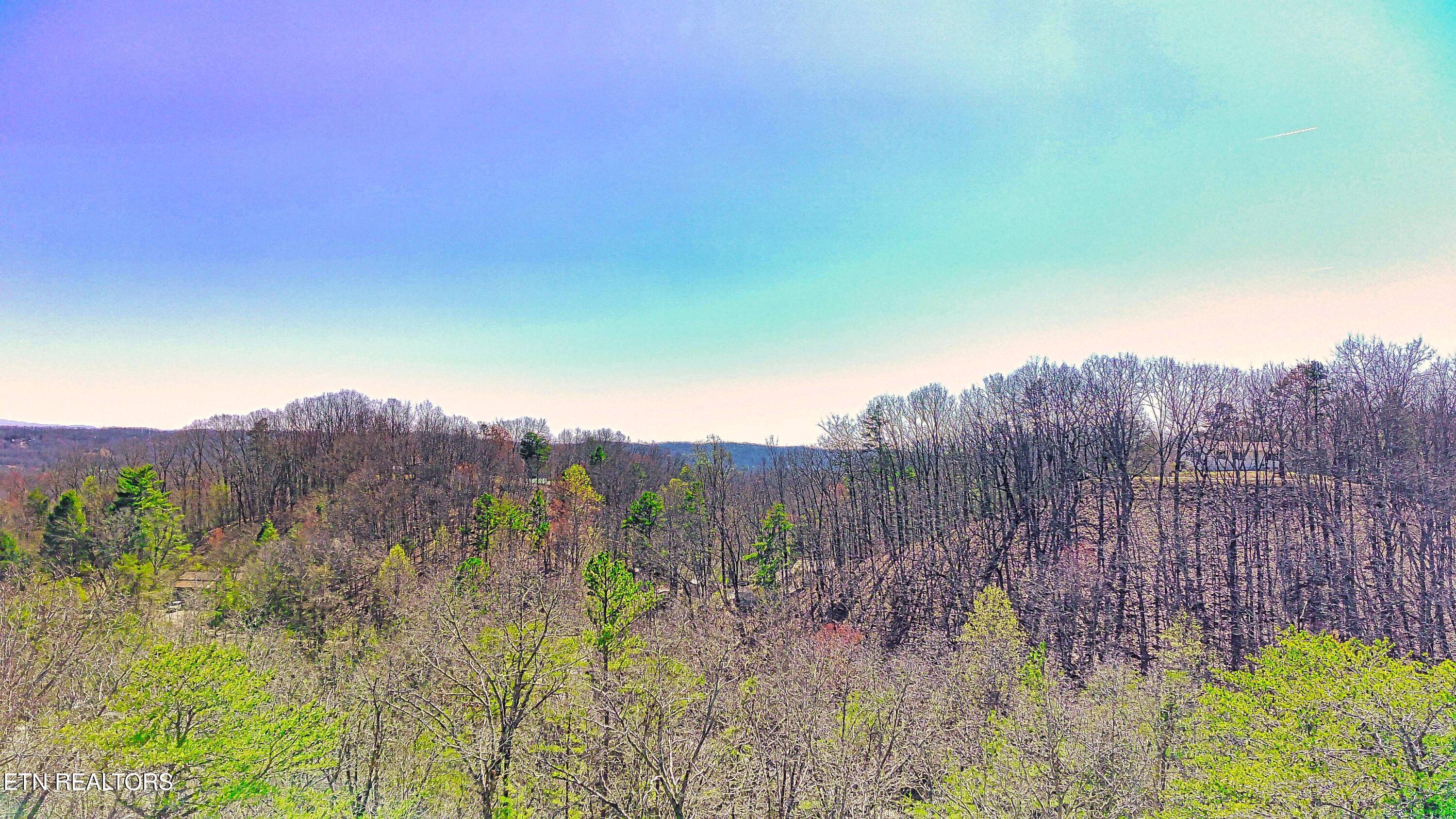 243 Shady Road Oliver Springs, TN 37840 - Photo 26 of 31 FIMI0070