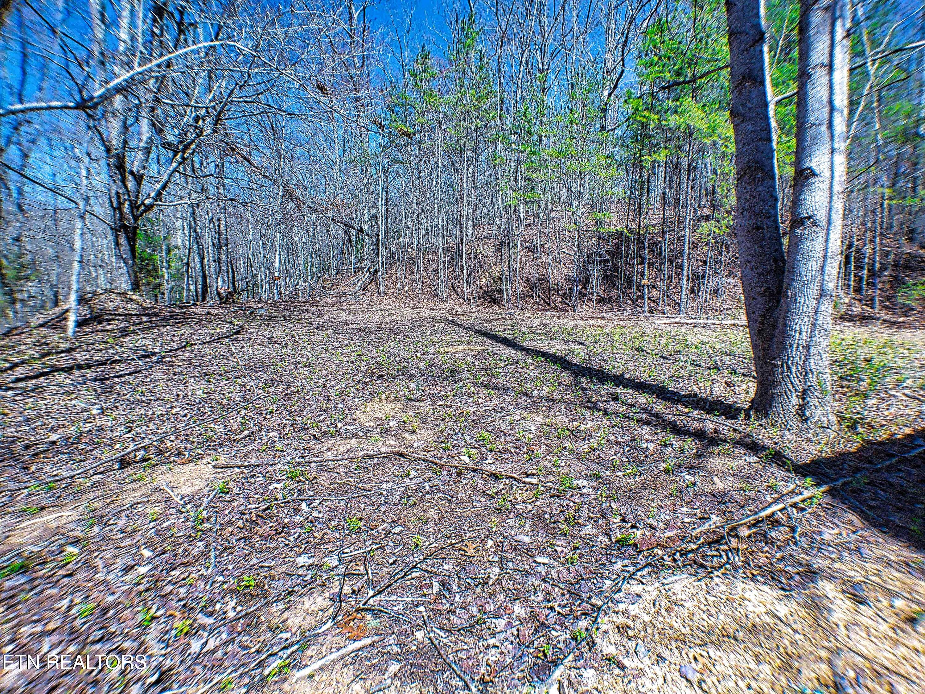 243 Shady Road Oliver Springs, TN 37840 - Photo 4 of 31 ANMP0081