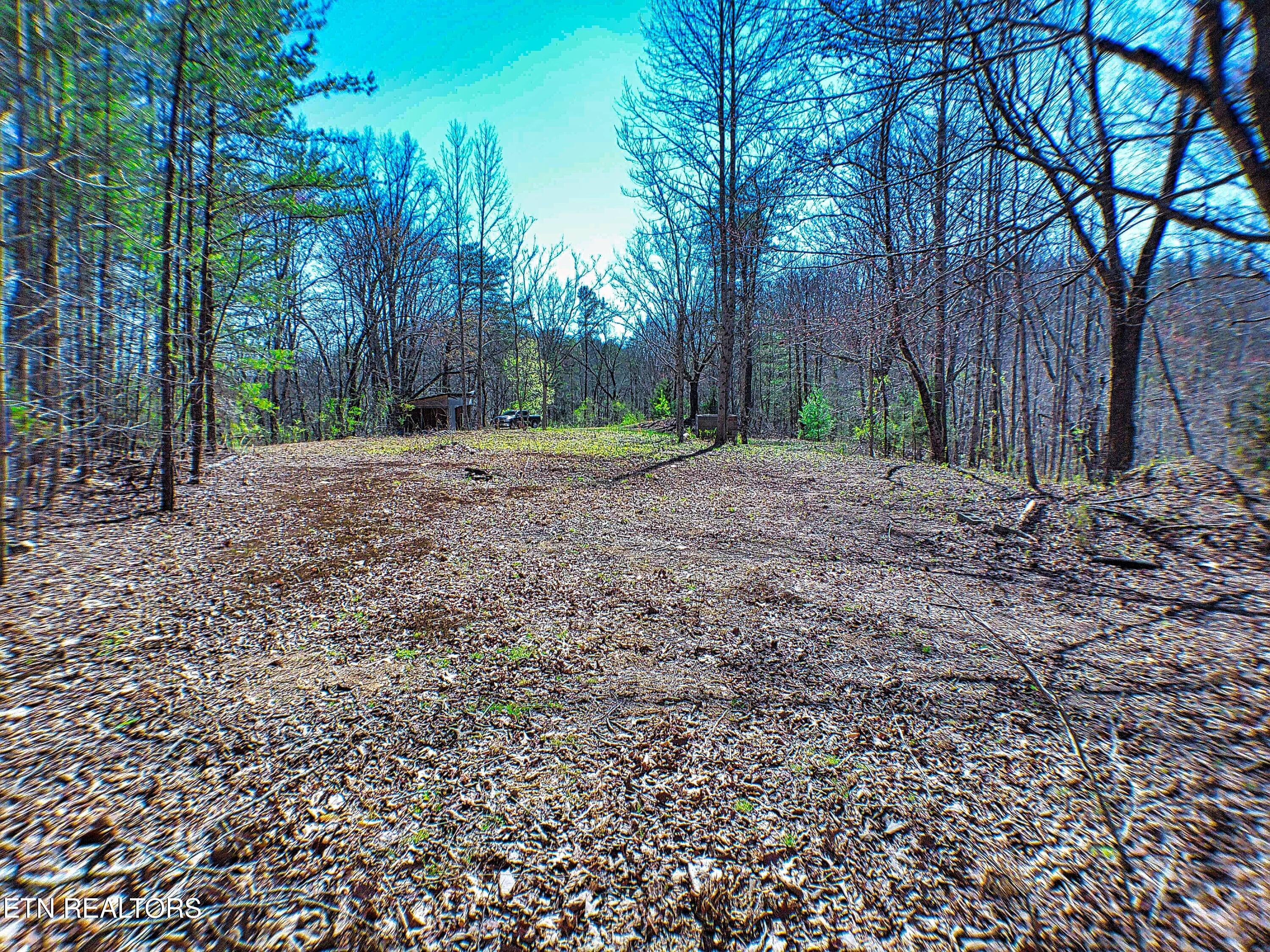 243 Shady Road Oliver Springs, TN 37840 - Photo 6 of 31 ANMP0084