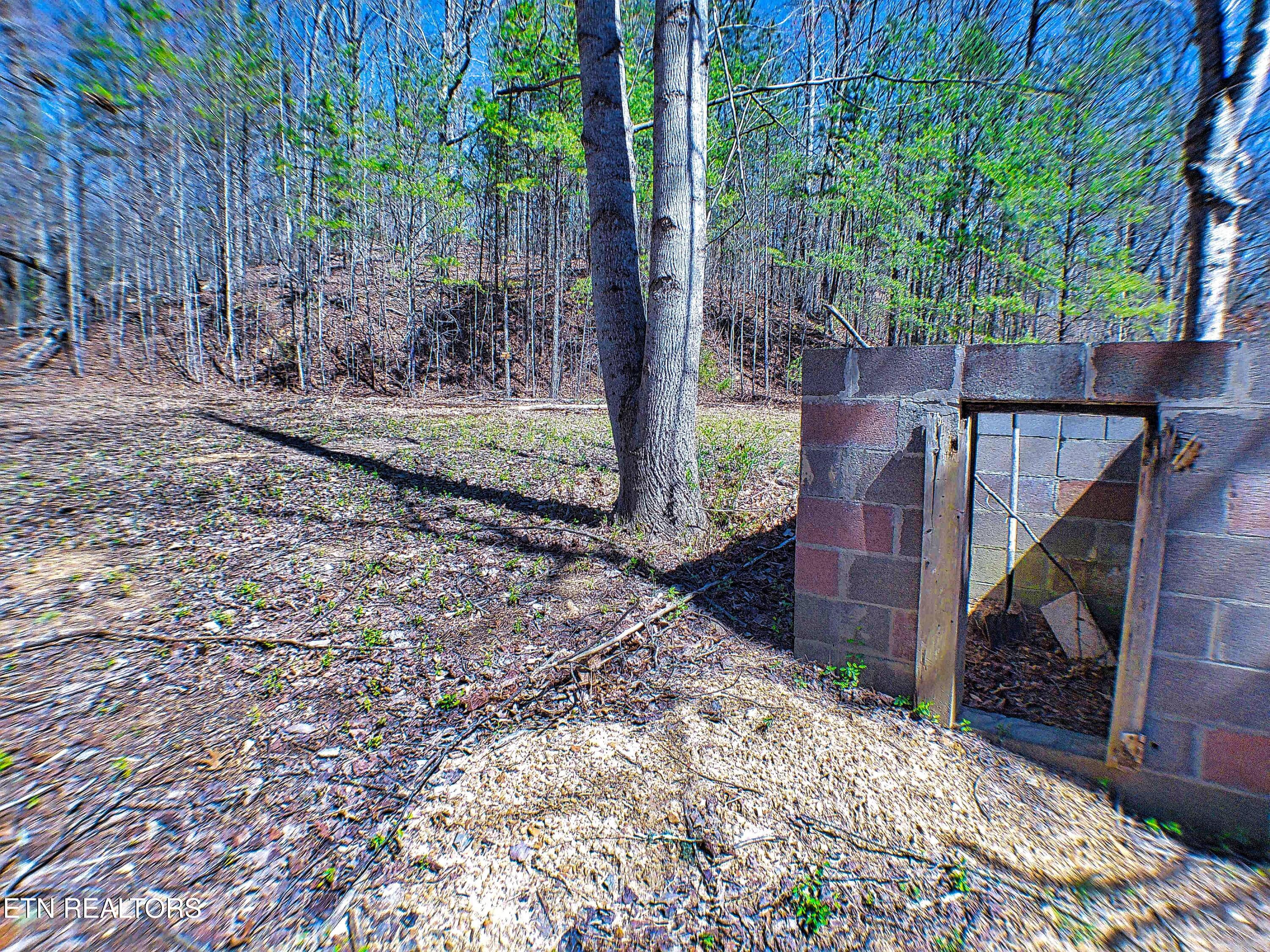 243 Shady Road Oliver Springs, TN 37840 - Photo 8 of 31 ANMP0080