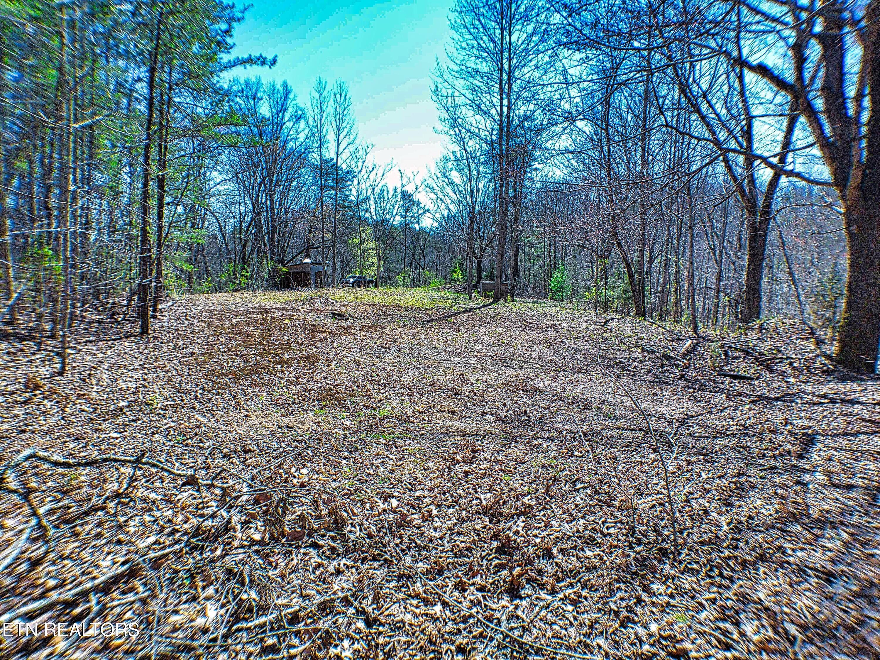 243 Shady Road Oliver Springs, TN 37840 - Photo 9 of 31 ANMP0083
