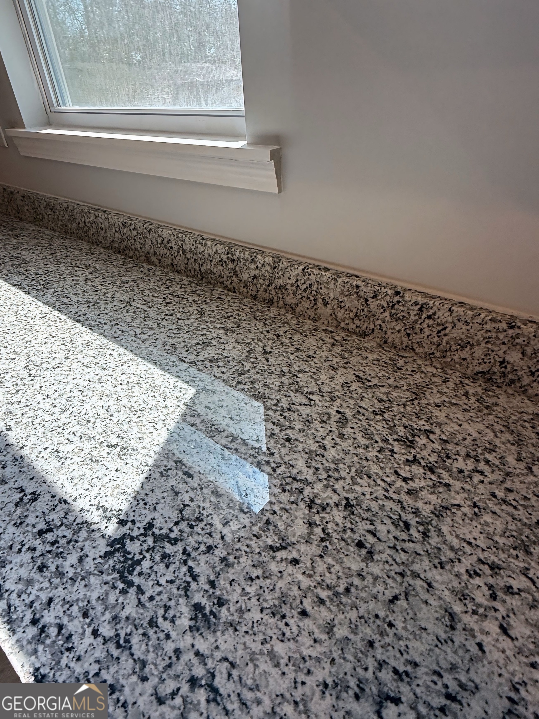 24 George Street Forsyth, GA 31029 - Photo 11 of 20 a close up of a window