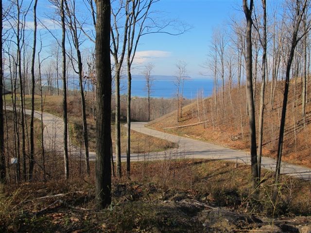 2171 South Ridge Road Lake Leelanau, MI 49653 - Photo 7 of 14 1814283-6.JPG