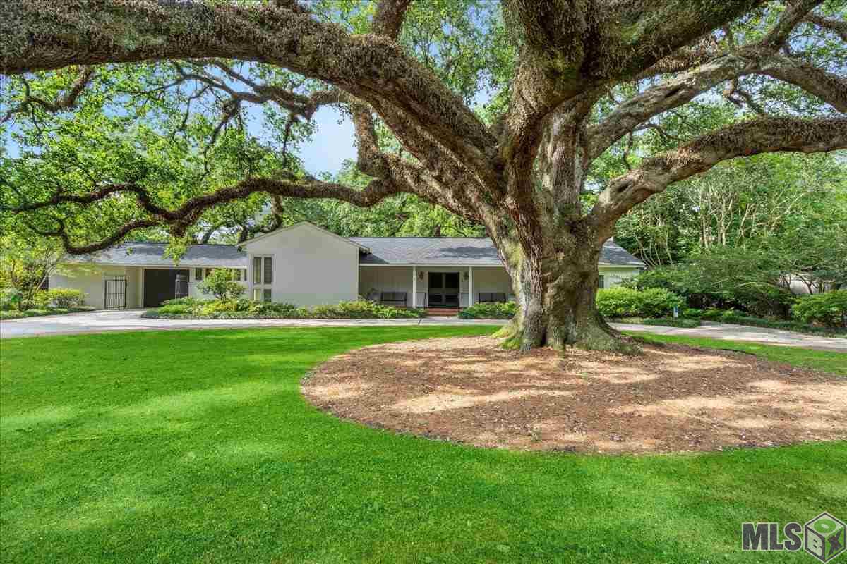 2600 Reymond Avenue Baton Rouge, LA 70808 - Photo 2 of 40 300 year old live oak