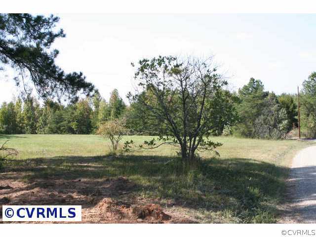 37 Jenkins Ridge Road Cartersville, VA 23027 - Photo 2 of 10 Other - View of small field on right side of this
