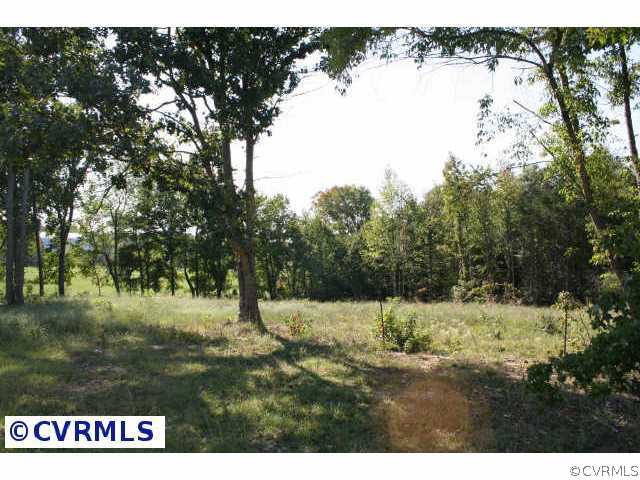 37 Jenkins Ridge Road Cartersville, VA 23027 - Photo 3 of 10 Other - View of adjacent lot for sale
