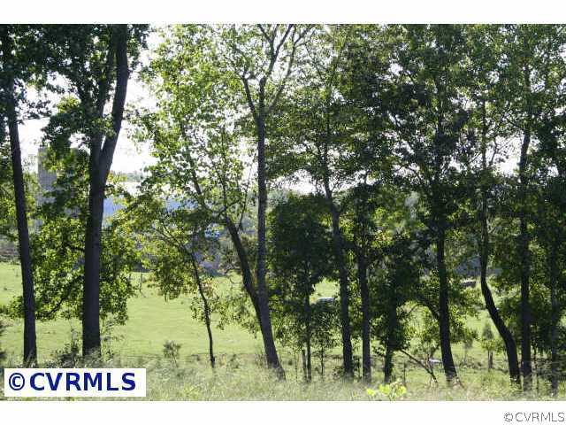 37 Jenkins Ridge Road Cartersville, VA 23027 - Photo 4 of 10 Other - View of neighboring farm - it is behind th