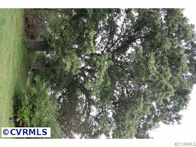 37 Jenkins Ridge Road Cartersville, VA 23027 - Photo 10 of 10 Other - View of the Majestic Oaks