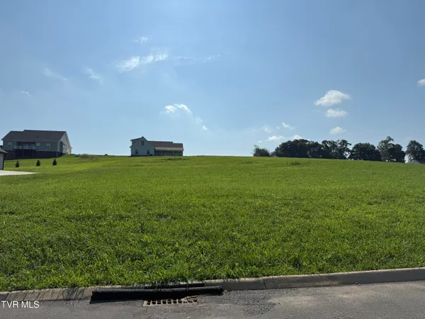 $95,000 | Lot 49 Uncle Buddys Way, Unit 49, Jonesborough, TN 37659