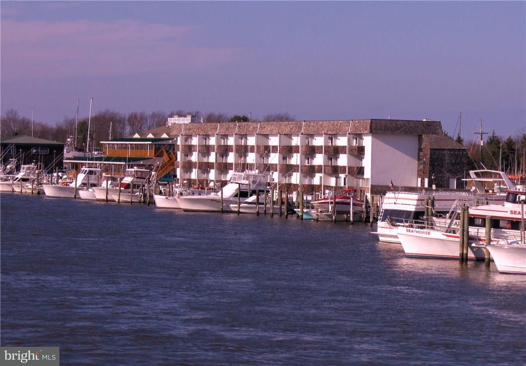 211 Anglers Road, Unit 307B Lewes, DE 19958 - Photo 2 of 48