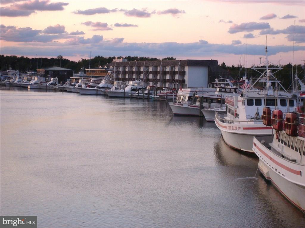 211 Anglers Road, Unit 307B Lewes, DE 19958 - Photo 3 of 48