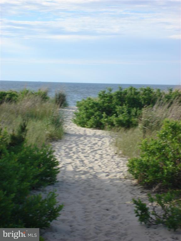 211 Anglers Road, Unit 307B Lewes, DE 19958 - Photo 26 of 48