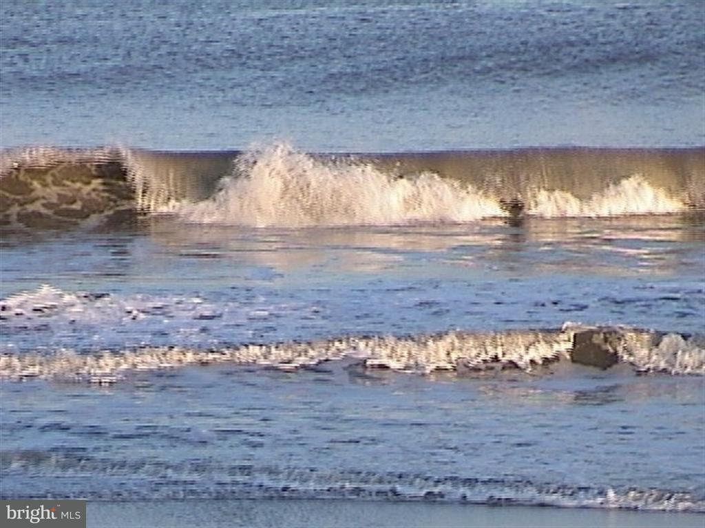 211 Anglers Road, Unit 307B Lewes, DE 19958 - Photo 28 of 48