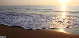 211 Anglers Road, Unit 307B Lewes, DE 19958 - Photo 29 of 48