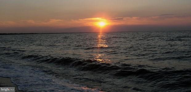 211 Anglers Road, Unit 307B Lewes, DE 19958 - Photo 36 of 48