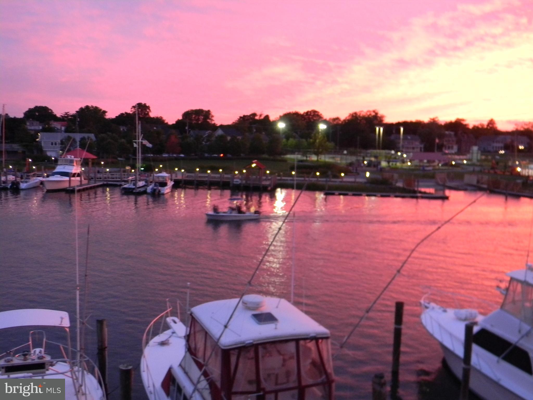 211 Anglers Road, Unit 307B Lewes, DE 19958 - Photo 47 of 48