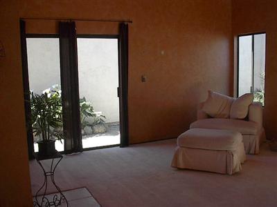 3145 Rita Court Napa, CA 94558 - Photo 2 of 10 a living room with furniture and a potted plant
