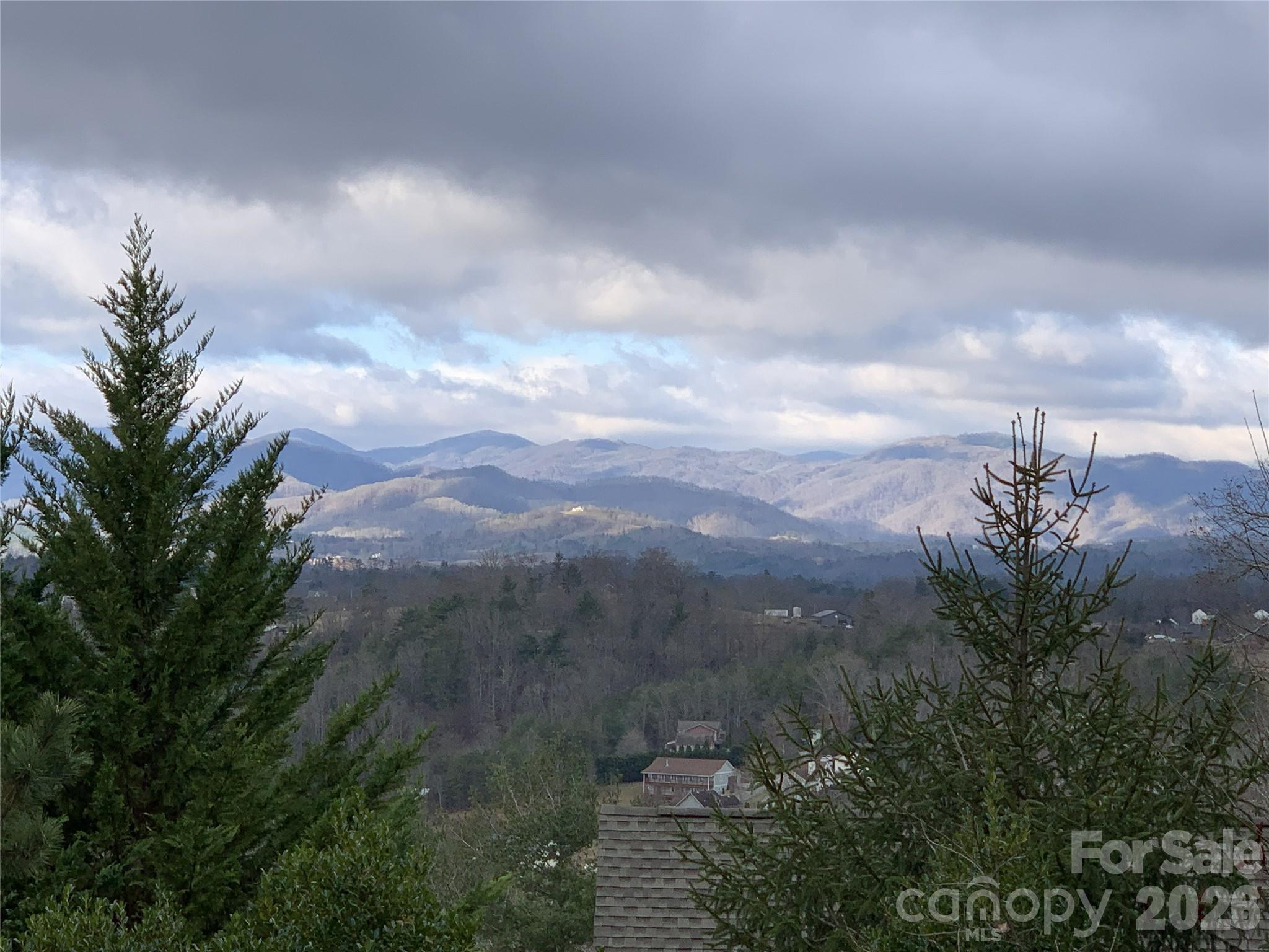 65 Buckle Ridge Weaverville, NC 28787 - Photo 3 of 48