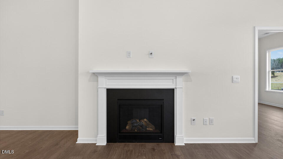 175 Prairie Wolf Street Sanford, NC 27330 - Photo 12 of 38 Family Room