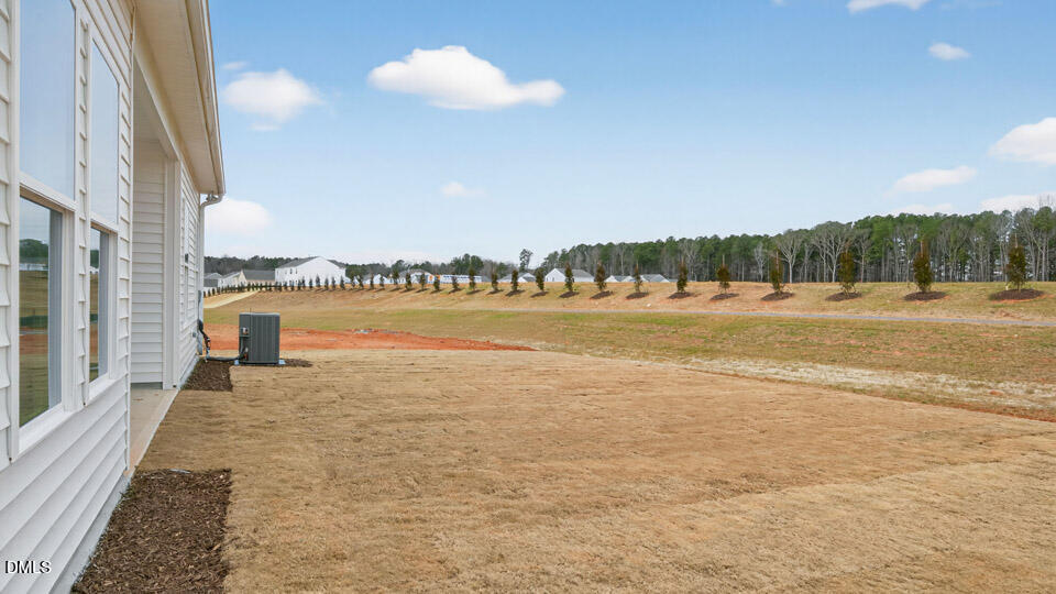 175 Prairie Wolf Street Sanford, NC 27330 - Photo 28 of 38 Backyard