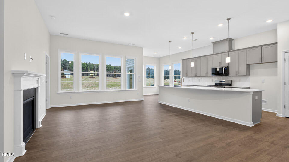 175 Prairie Wolf Street Sanford, NC 27330 - Photo 3 of 38 Kitchen