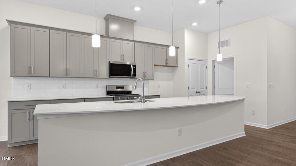 175 Prairie Wolf Street Sanford, NC 27330 - Photo 6 of 38 Kitchen