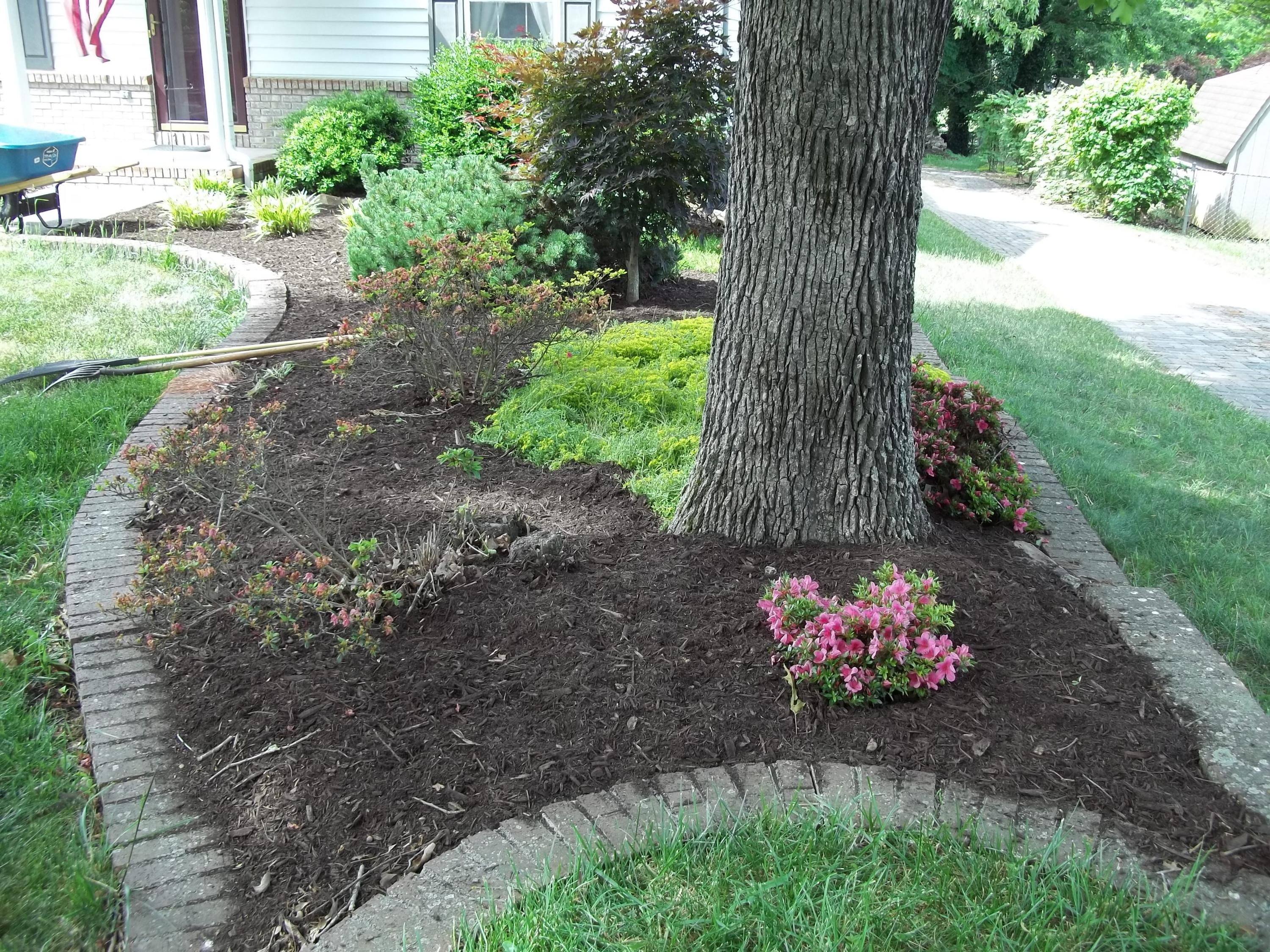 711 Johnson Road Maryville, TN 37804 - Photo 26 of 40 Front Yard