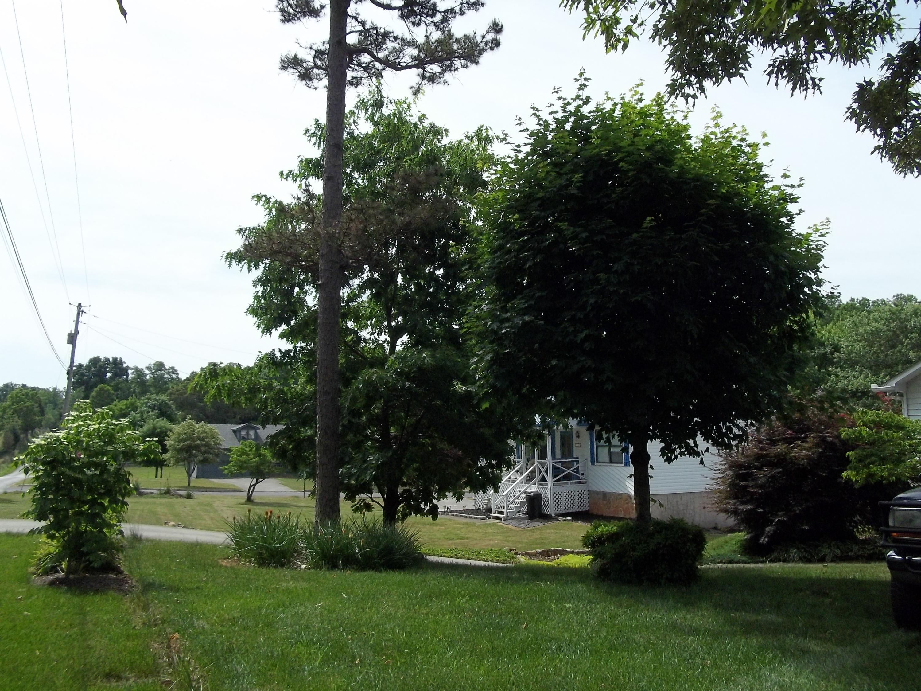 711 Johnson Road Maryville, TN 37804 - Photo 27 of 40 front yard