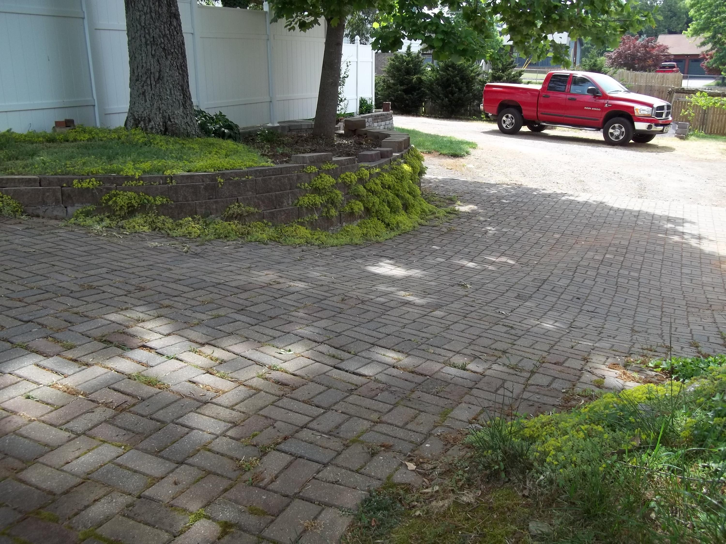 711 Johnson Road Maryville, TN 37804 - Photo 29 of 40 brick lined driveway behind the house