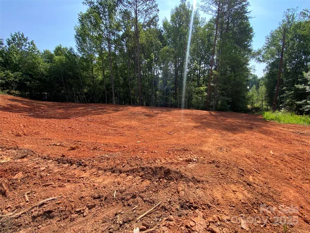 a view of a yard with a tree
